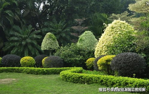 園林綠化工程造價(jià)組成及計(jì)算依據(jù)分析