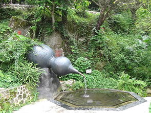 園林與建筑 從設(shè)計(jì)到施工的全方位服務(wù)