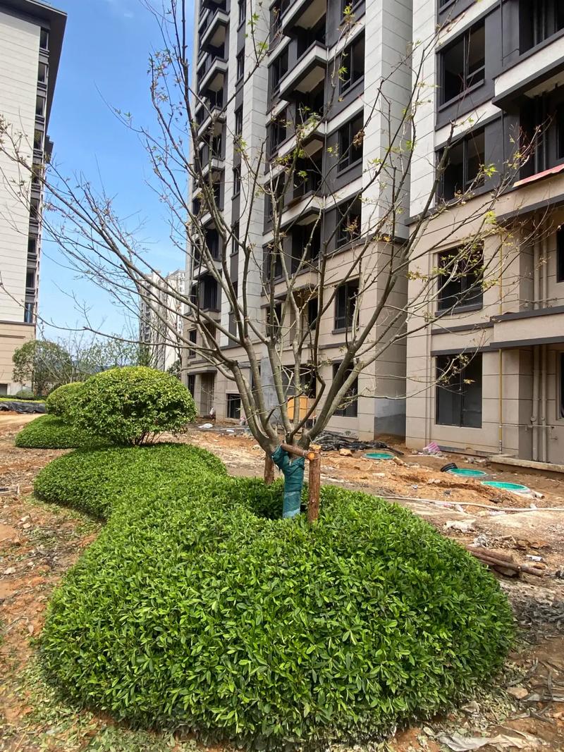 城市綠化管理中的園林綠化工程 從小區(qū)的匠心到城市的生態(tài)