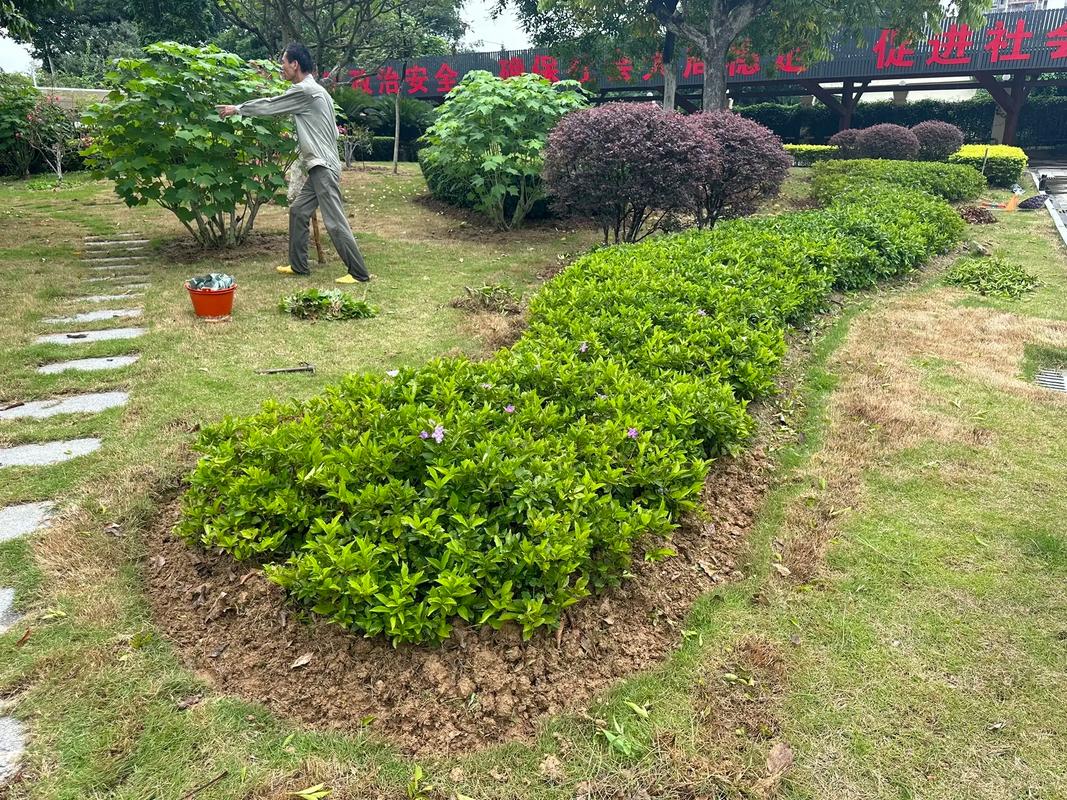 深耕園林養護與苗木產業，共筑城市綠色生態未來